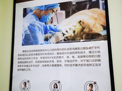 -美联众合动物医院·24h转诊中心