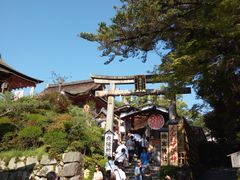 -有栖山 清光院 清水寺