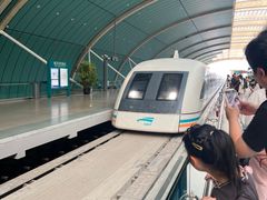 -龙阳路磁悬浮列车总站-停车场