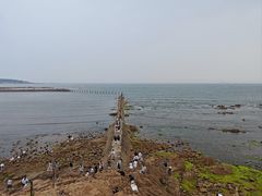 -青岛第二海水浴场