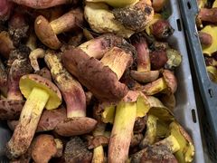 -双喜农庄·菌香园(安居家园店)