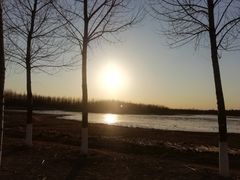 -东郊湿地公园