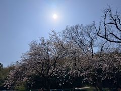 -南北湖风景区