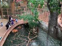 -南宫五洲植物乐园