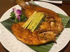 -紫滇源云南生态菜(丹凤街店)