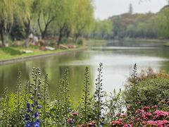 -上海鲜花港