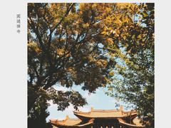 -圆通禅寺