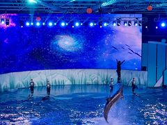 -海合安青岛极地海洋公园