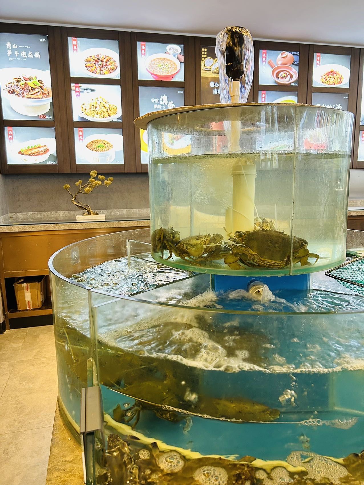上海顶顶好吃的温州海鲜餐厅