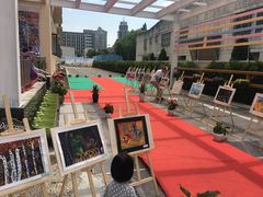 -上海松江区迪笙幼儿园
