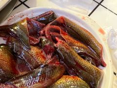 -储奇门鳝鱼火锅(总店)