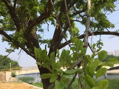 -北运河水利风景区