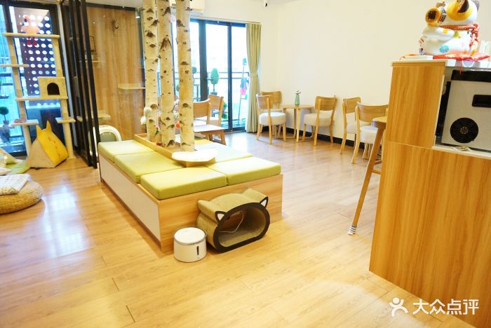 三宅猫生·猫咖图片