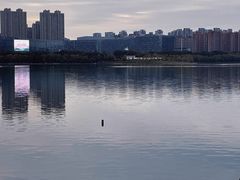 -天鹅湖体育公园