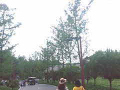 -天河潭旅游度假区
