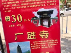 -大槐树寻根祭祖园