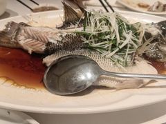 清蒸海鲈鱼-茉里粤菜(皇姑万象汇店)