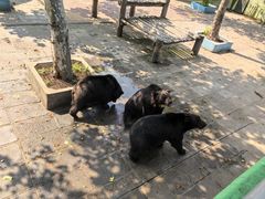 -西霞口神雕山野生动物世界