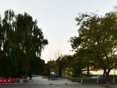 东门-菖蒲河公园