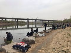 -门城湖公园