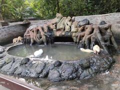-海南热带野生动植物园