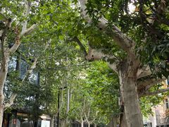 -西安贾三灌汤包·回坊小吃·清真炒菜(北院门总店)