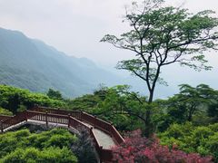 -广州市石门国家森林公园