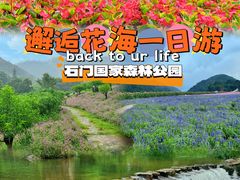 -广州市石门国家森林公园