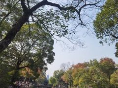 -拙政园