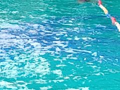 -威蒂斯国际健身游泳会所(东莞庄路店)