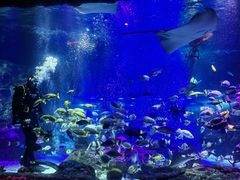 -沈阳海洋探索中心