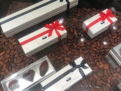 -BLACKSWAN黑天鹅(环球店)