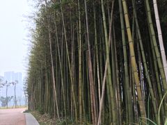 -眉山湿地公园(东坡区)