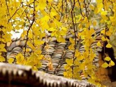 -金堂县云顶石城风景区