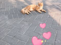 -大兴滨河森林公园