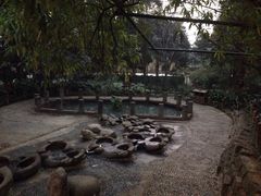 活水公园-成都市活水公园