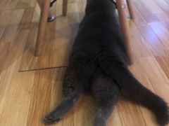 -壹人壹像工作室(购物公园店)