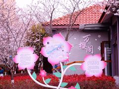 -高东镇樱花园
