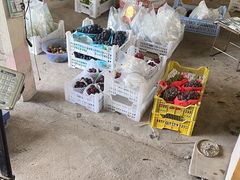 -马陆小张葡萄园农家乐