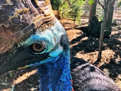 -费瑟代尔野生动物园