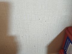 -皓天国泰大饭店(自治区儿童医院店)