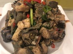 -大笮风(体育馆总店)