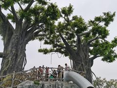 -九龙湖公园
