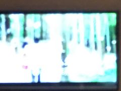 -歌神量贩式KTV(金谊店)