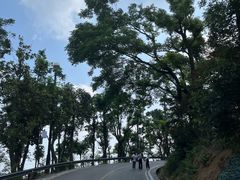 -岳麓山风景名胜区