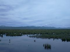 -花湖生态旅游区