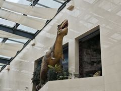 -安徽省地质博物馆