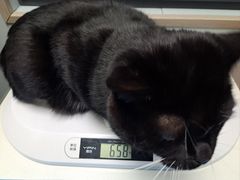 -伟伟宠物医院·CT影像中心·瑞派犬猫综合性门诊(汉口总院)