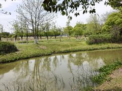 -艾溪湖湿地公园