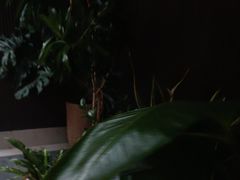 -阿伟海鲜楼·福建菜(涵江店)